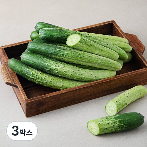 국내산 백오이, 3kg, 3박스