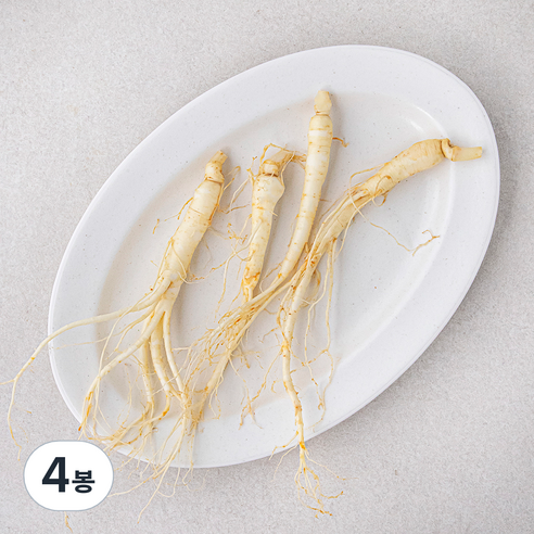 삼계탕용 금산 세척 수삼, 60g, 4개