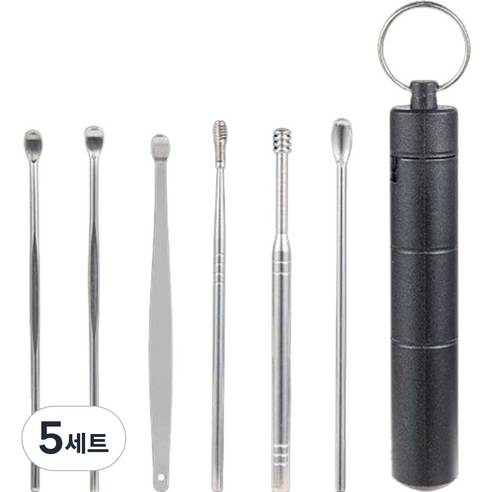 봄봄리빙 플라스틱 케이스 귀이개 세트 블랙, 5세트
