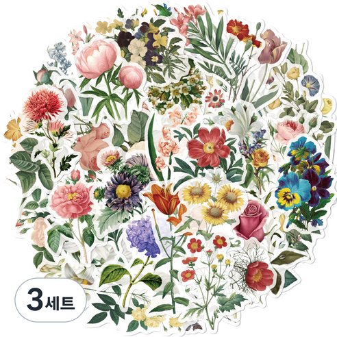 리빙홈디테일 캐리어 노트북 여행 방수 스티커 53p 세트, 타입G, 3세트