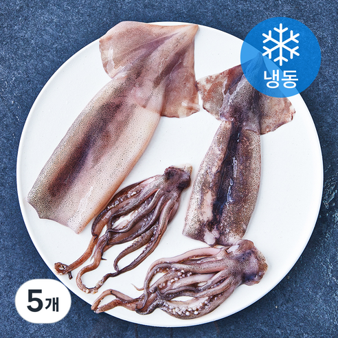 깨끗한 손질 통오징어 (냉동), 270g(2미), 5개