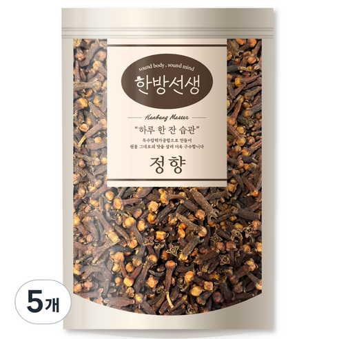 한방선생 정향 클로브, 100g, 5개