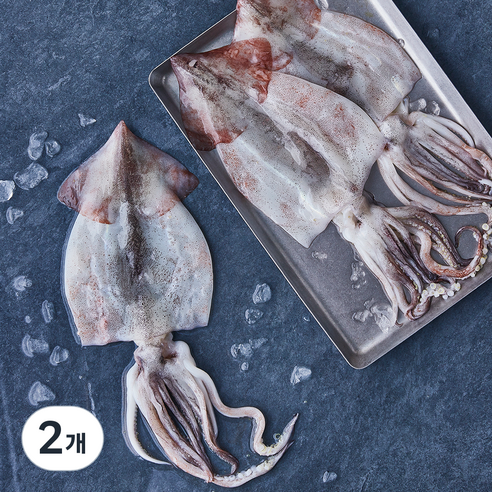 피시원 산지직송 손질한 생물오징어 (냉장), 750g(3~5미), 1개