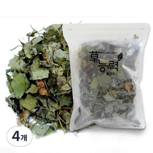 초능력 어성초 한약재료, 100g, 4개