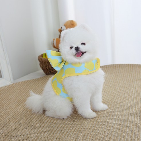 에이미러브즈펫 강아지 왕리본 하네스, 하트옐로우