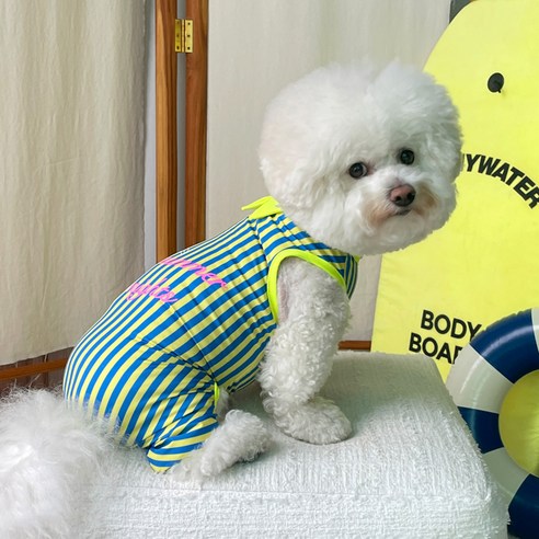 바이담수미 강아지 썸나이트 올인원 수영복, 옐로우