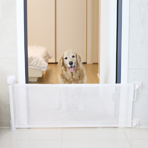 "나만 따라와!" 댕냥이 독립 공간, 롤링스크린 안전문 사용 후기 롤링스크린