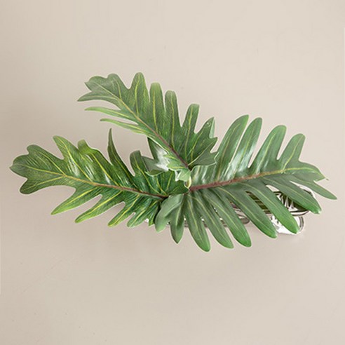 열대잎 커튼집게 25cm, 셀렘, 1개