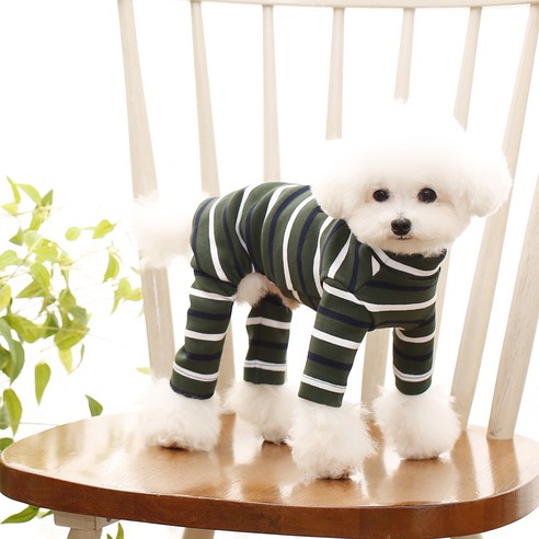 펫디자인 더블ST 올인원, 그린, 1개