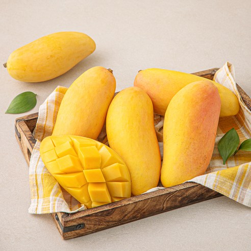 맛젤 태국산 마하차녹 망고 4~6입