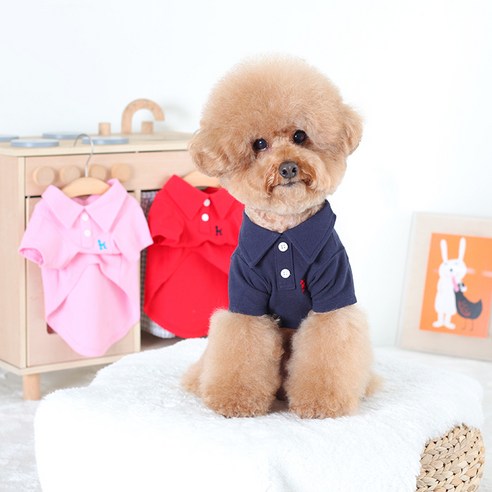 伴侶  寵物產品  小狗  貓  組合使用  服裝  T卹  狗  狗  狗