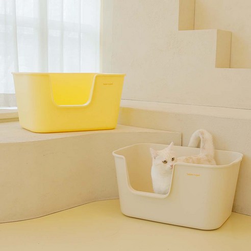 고양이의 편안함을 위한 최적의 선택