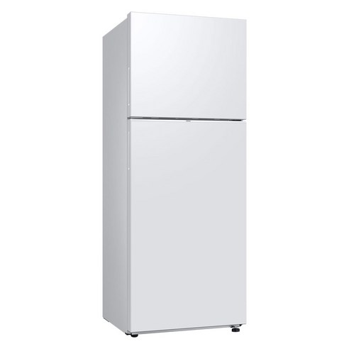 넉넉한 용량, 에너지 효율적, 편리한 삼성전자 일반형 냉장고 RT42CG6024WW