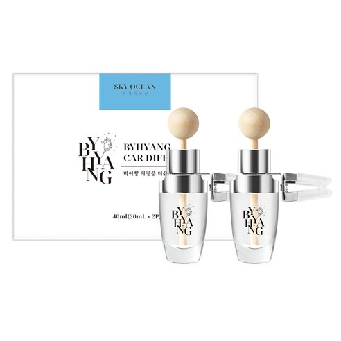 바이향 카 차량용 디퓨저 20ml x 2p 세트 본품, 스카이오션, 1세트