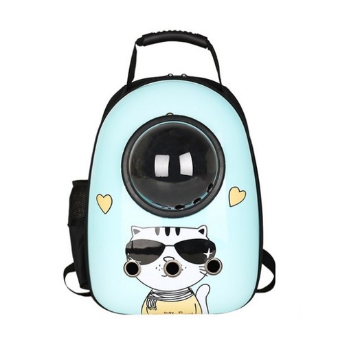 진호 반려동물 모던 우주선 이동가방, 고양이 민트, 1개