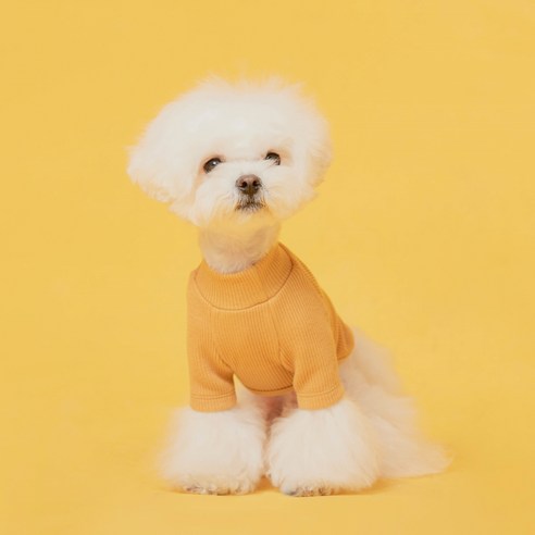 플로트 강아지 베이직 하프넥 티셔츠, 옐로우