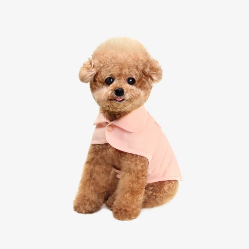 허츠앤베이 강아지 쿨조끼, 핑크