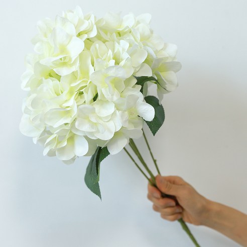 아름드리몰 조화 수국, 화이트