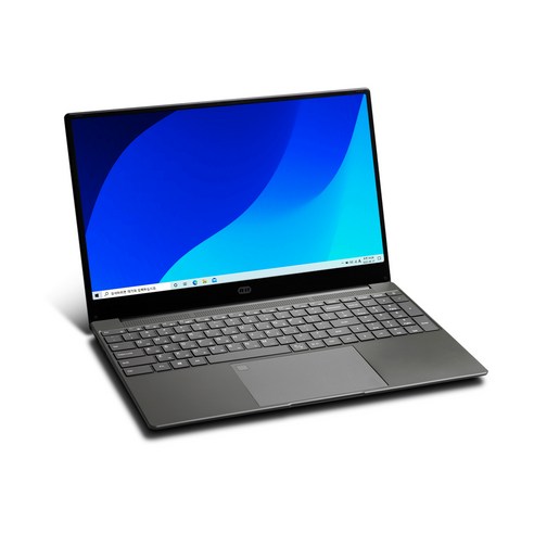 이그닉 2021 리트북 15.6, 셀러론, 544GB, 4GB, WIN10 Pro, RT-LAP15001