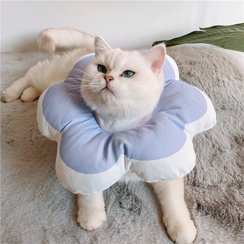 힐링타임 키티요요 반려동물 넥카라 블루 L NH-3206, 100g, 1개