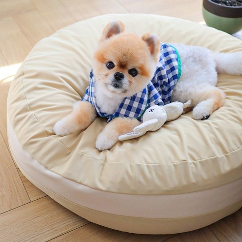 초코펫하우스 강아지 쿠션 마카롱 방석, 꾸우덕 피넛버터 베이지, 1개