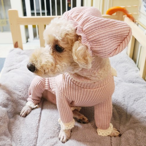 도그맘 강아지 골지 레이스 올인원 + 모자 세트, 핑크