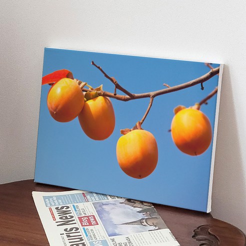 꾸밈 돈들어오는 감 그림 캔버스 액자 이미지3 bc106