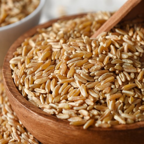 속 편한 빵 생활, 호라산밀로 시작하세요!