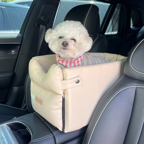 안전하고 편안한 반려동물 여행의 동반자