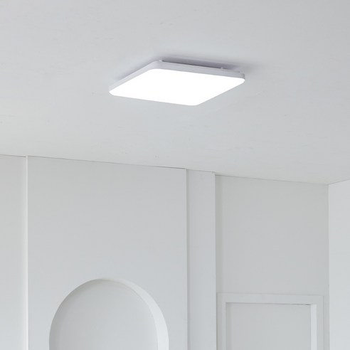 비츠조명 LED 라디언 방등 60W, 화이트