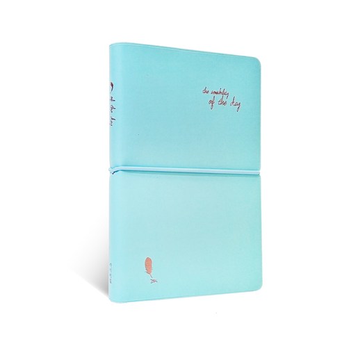 아이씨엘디자인 of the day 다이어리 라지 2022, 민트