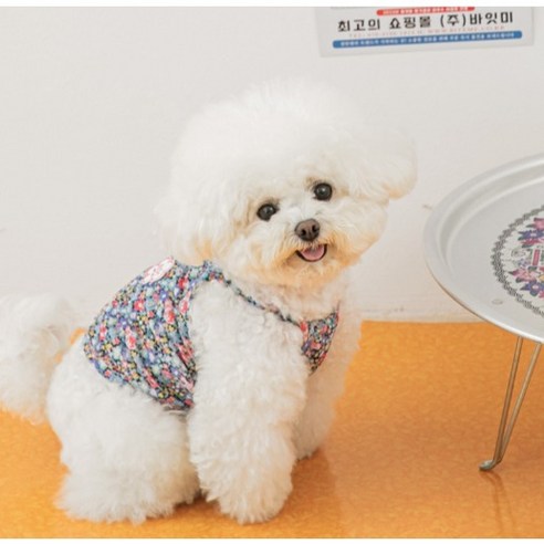 바잇미 강아지 냉장고 할매 티셔츠, 네이비