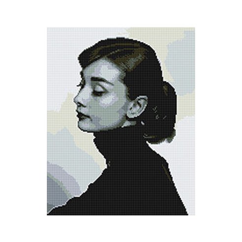 코쿼드 DIY 액자형 보석십자수 세트 40 x 50 cm, 클래식 오드리(DP512), 1세트