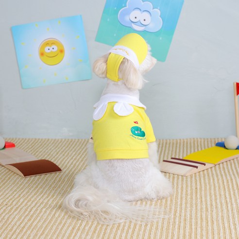 에이미러브즈펫 강아지 골프 클럽 셔츠 + 모자 세트, 옐로우