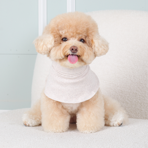 에이미러브즈펫 강아지 PM 페이크목폴라, 오트밀