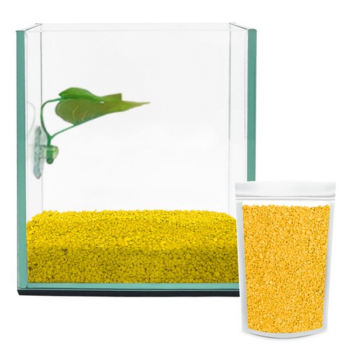 아쿠아테라 베타 유리어항 + 베타침대 + 컬러스톤 1kg CH-G150, 옐로우(컬러스톤), 1개