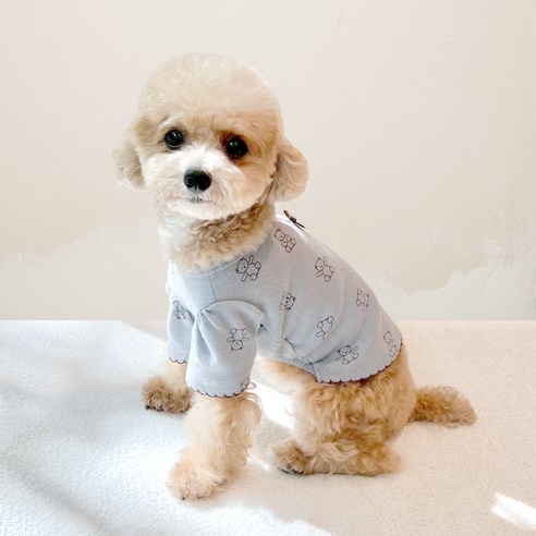 伴侶  寵物產品  小狗  貓  組合使用  服裝  T卹  狗  狗  狗