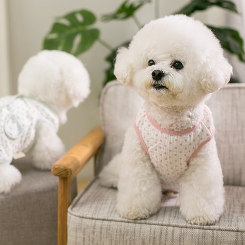에이미러브즈펫 강아지 고양이 주름 조끼 물방울, 핑크, 1개
