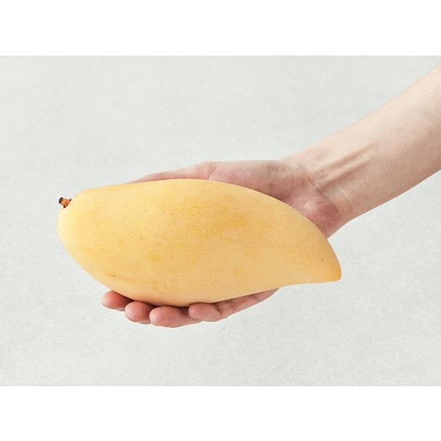 황홀한 달콤함, 이웃마을 남독마이 망고의 특별한 미식 경험