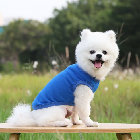 반려동물 알럽펫 민소매 평상복 면 조끼, 블루
