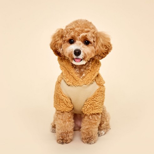 플로트 강아지 플러피후리스 베어 후드, 베이지