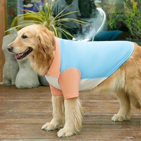 파스텔펫 강아지 대형견 배색 티셔츠, 블루