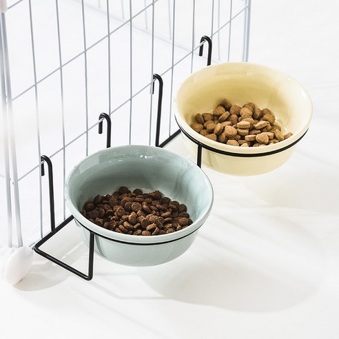 伴侶  寵物用品  小狗  貓  聯合使用  餐具  狗  狗  狗  狗