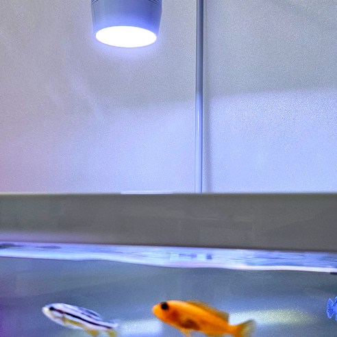 伴侶 寵物用品 觀賞魚 用品 魚缸 魚缸 水族箱 燈飾 魚缸燈 寵物用品