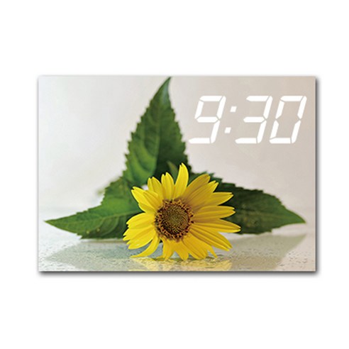 홈마인 LED 시계 캔버스 프린팅 액자 해바라기 A3, 14
