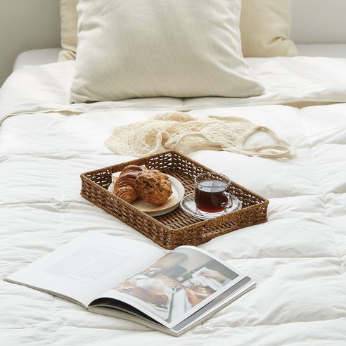 당신의 공간에 자연의 숨결을 불어넣다