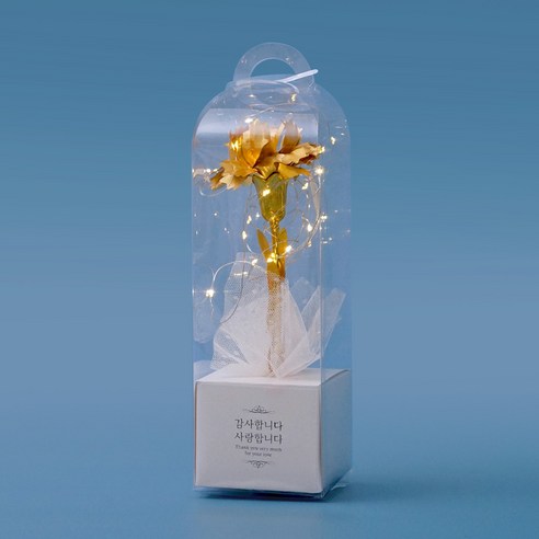 morningscent 조화 반딧불 카네이션 + 조명 세트, 금, 1세트