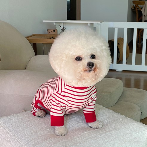 바이담수미 강아지 메르 단가라 올인원, 레드