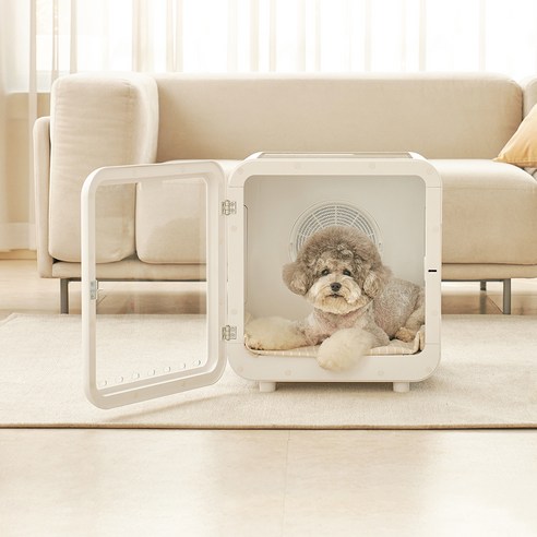 반려동물과의 편안한 샤워를 위한 최적의 선택