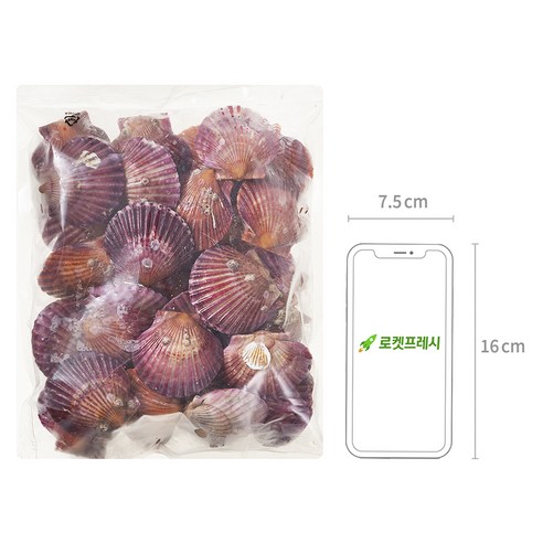 바다의 진미, 홍가리비의 매혹적인 맛과 품질